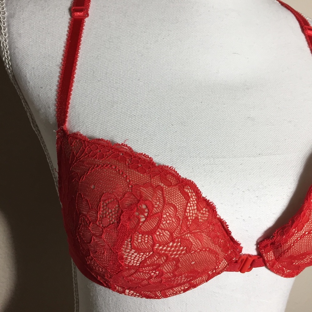 Blush Bra - Picture 2 of 4